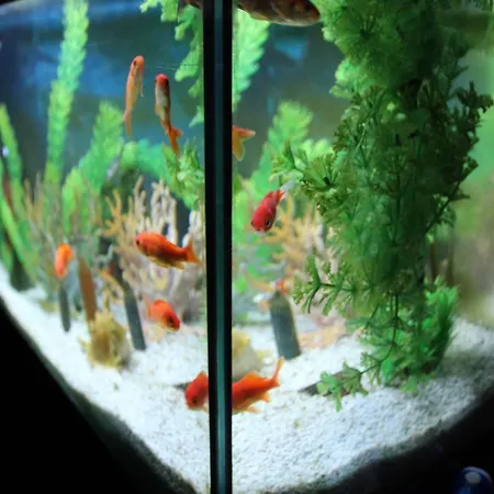 Vakantieboerderij Aria Fina