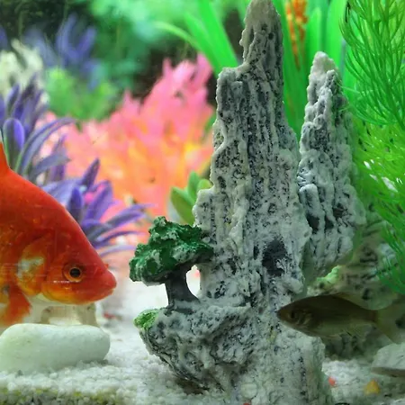 Vakantieboerderij Aria Fina