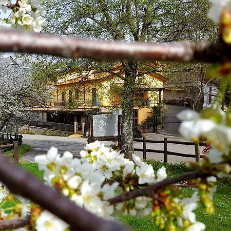Agriturismo Aria Fina