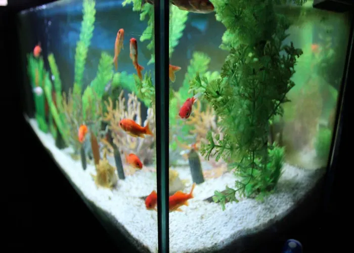 Alojamento de Turismo Rural Aria Fina