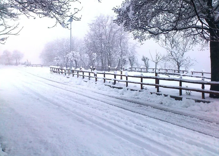 Alojamento de Turismo Rural Aria Fina