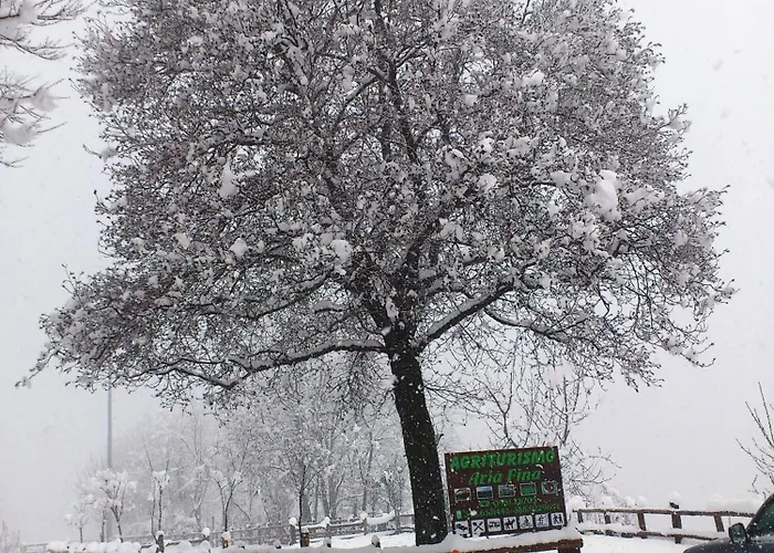 Alojamento de Turismo Rural Aria Fina Mormanno